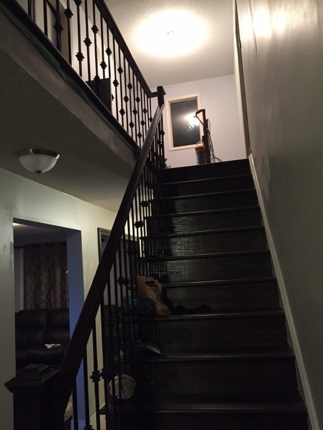 photo329788170926403151