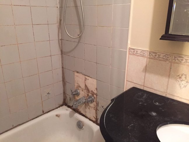 photo329788170926403167