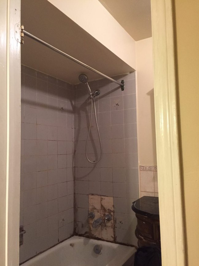 photo329788170926403168