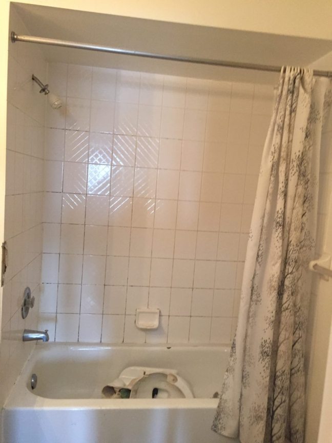 photo329788170926403405