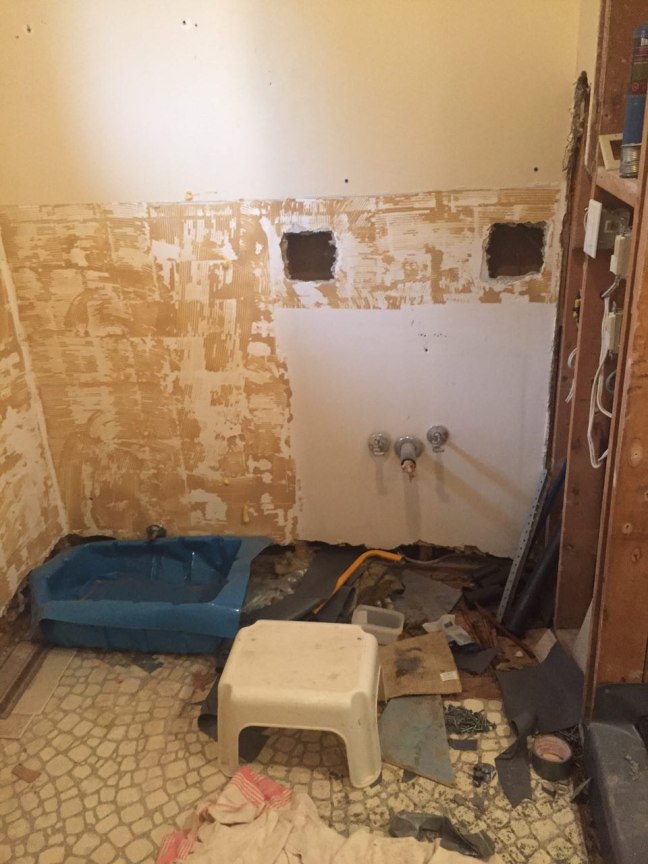 photo329788170926404096