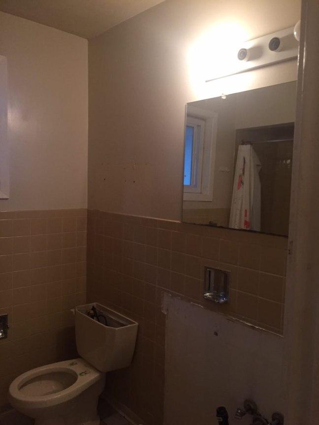 photo329788170926404177