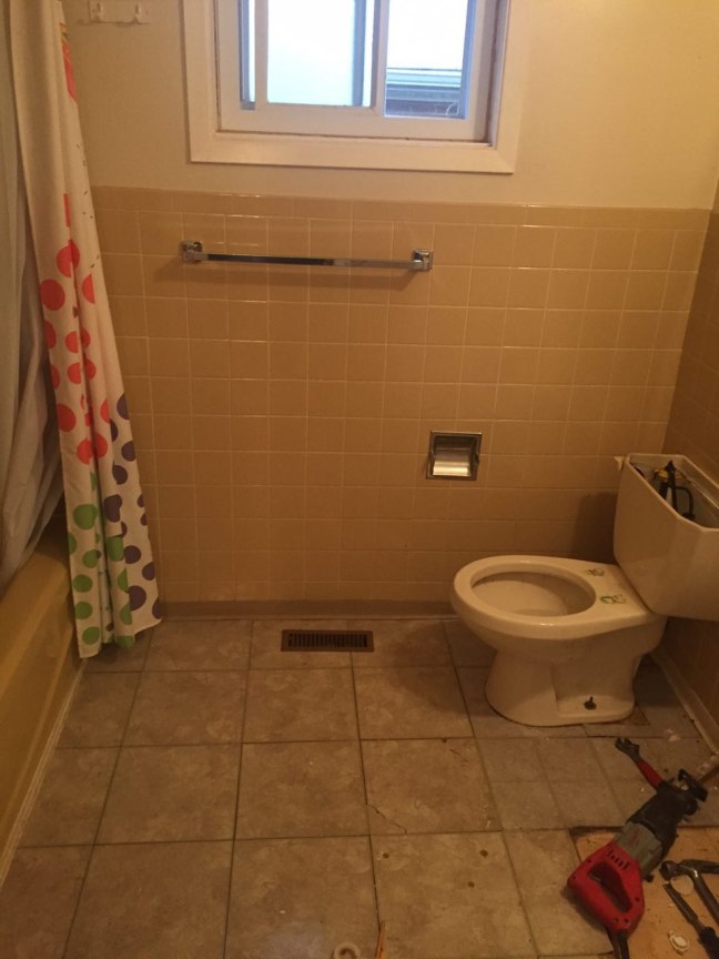 photo329788170926404178