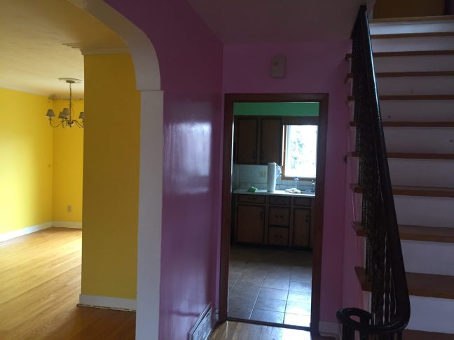 photo4902379996866258866