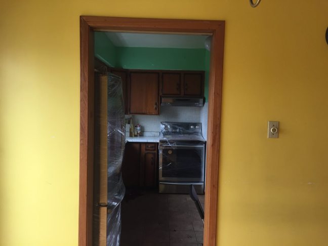 photo4902379996866258868